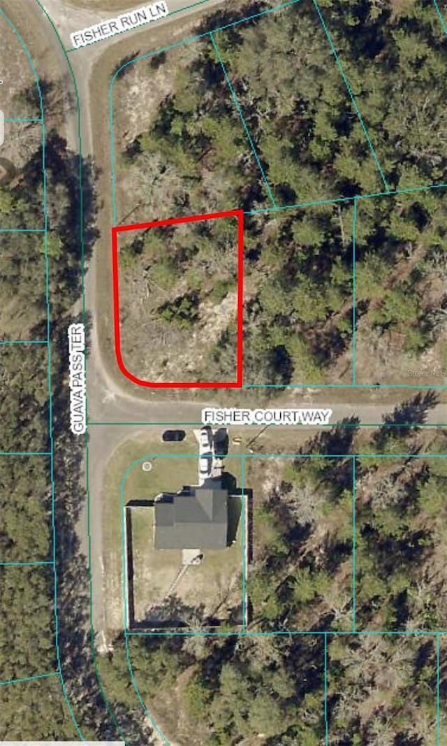 Listing photo 2 for 0 Fisher Run Ln, Ocklawaha FL 32179