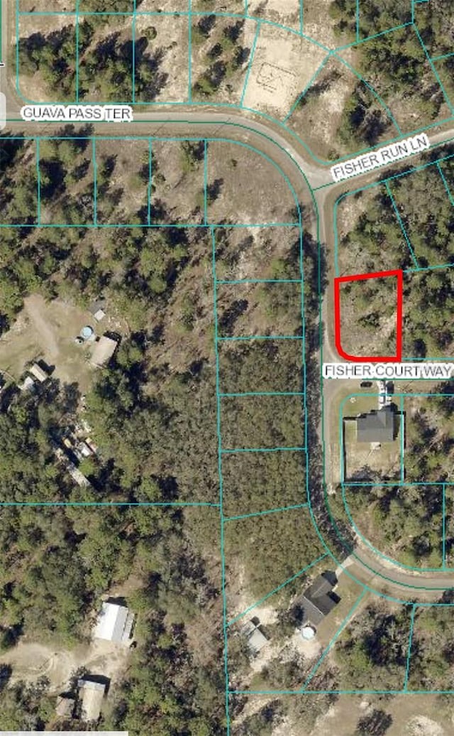 Listing photo 2 for 0 Fisher Run Ln, Ocklawaha FL 32179