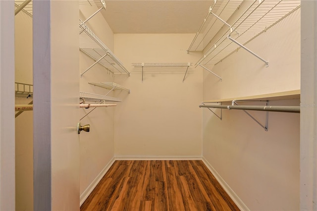 10185 SE 175th Ln, Summerfield, FL 34491 - walk in closet featuring wood finished floors