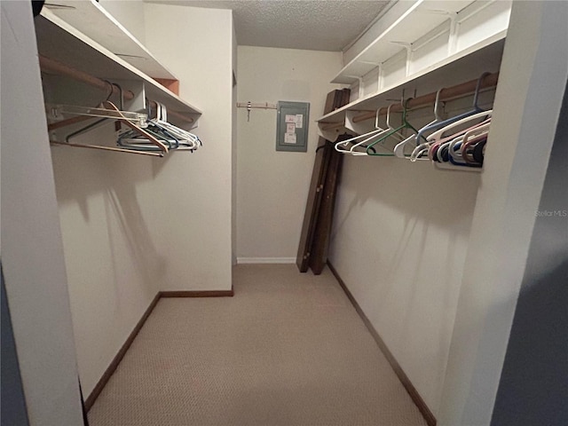 walk in closet with electric panel and light colored carpet