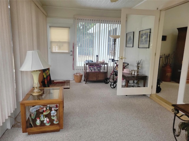 living area with carpet flooring