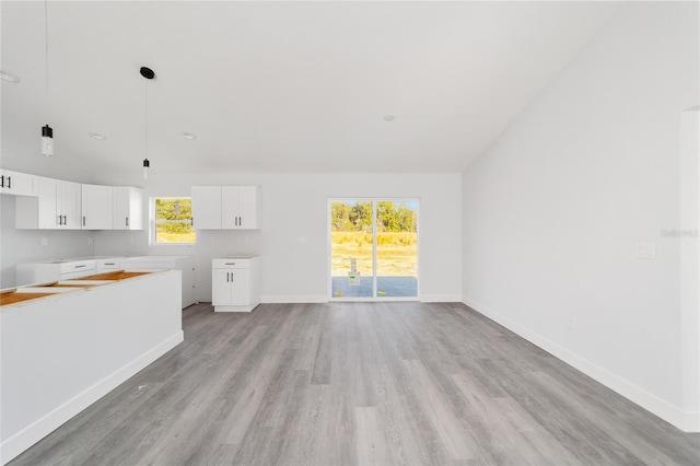 unfurnished living room with light hardwood / wood-style flooring