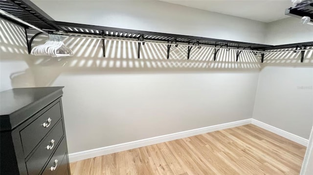 walk in closet featuring light hardwood / wood-style floors