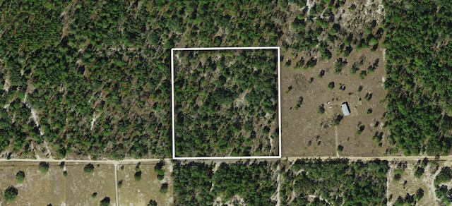 6561 W Peking Ct, Dunnellon FL, 34433 land for sale