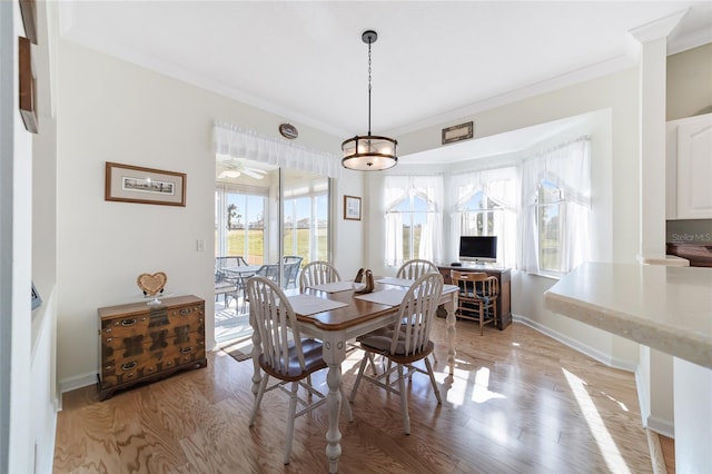 dining space featuring crown molding, light hardwood / wood-style flooring, and ceiling fan