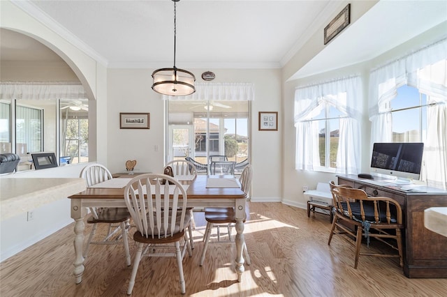 dining area with light hardwood / wood-style flooring, a wealth of natural light, and ornamental molding