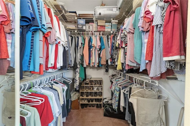 spacious closet with carpet flooring