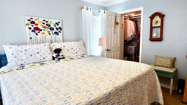 bedroom featuring crown molding, a closet, a spacious closet, and hardwood / wood-style floors