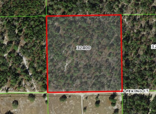 6683 W Peking Ct, Dunnellon FL, 34433 land for sale