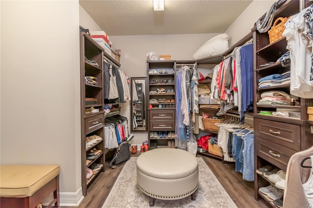 spacious closet with dark hardwood / wood-style floors