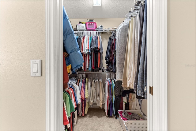 spacious closet with carpet flooring