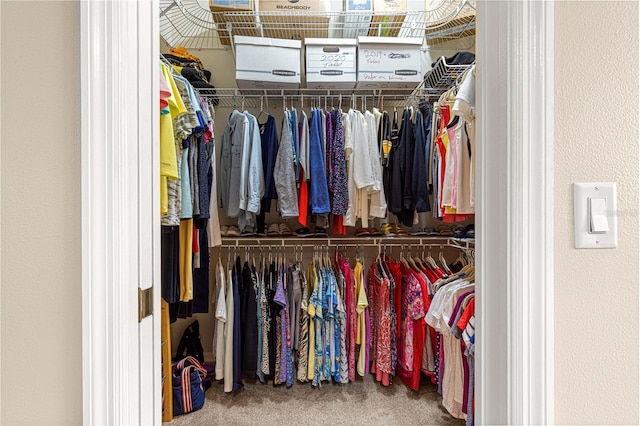 walk in closet featuring carpet flooring