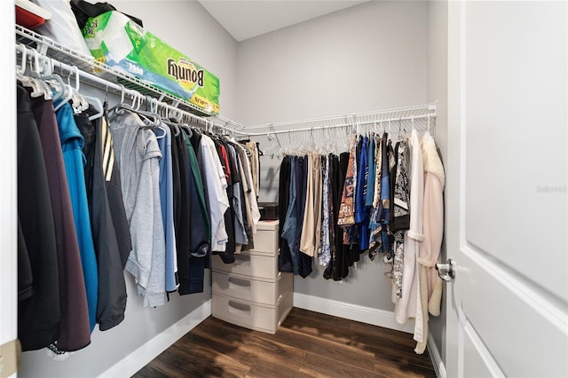 spacious closet featuring dark hardwood / wood-style flooring