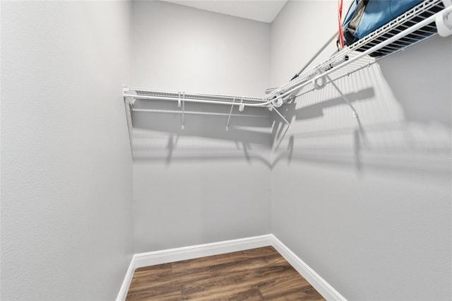 spacious closet with wood-type flooring