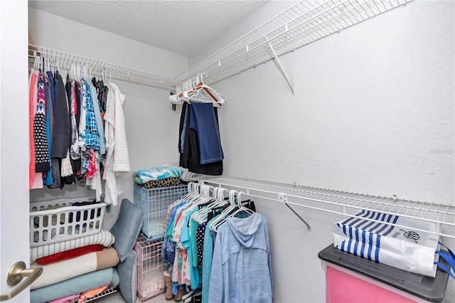 view of spacious closet