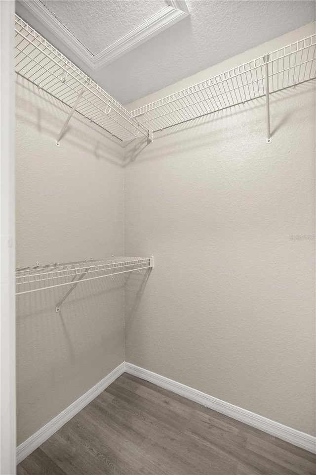 spacious closet with hardwood / wood-style floors