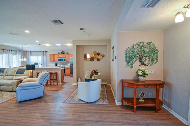 living room with a textured ceiling and hardwood / wood-style flooring