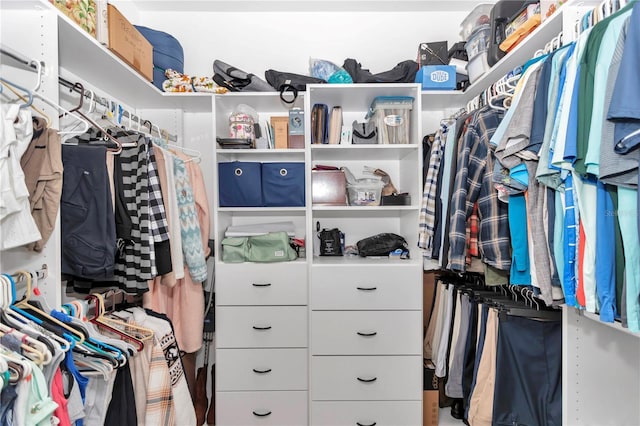 view of walk in closet