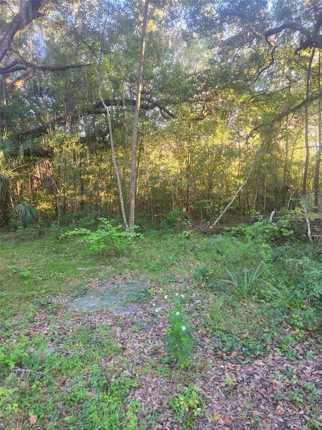 Listing photo 2 for 0 TBD SE 75th St, Ocala FL 34480