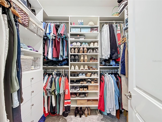 spacious closet with carpet