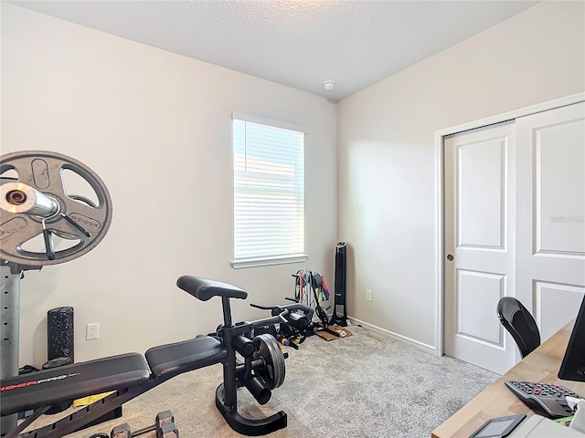 exercise room featuring light carpet