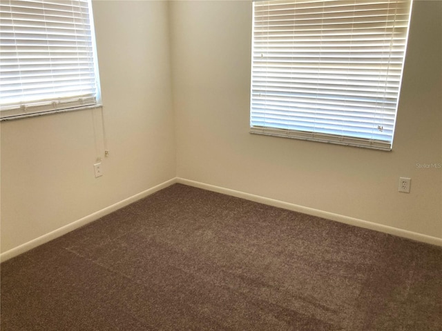 spare room with carpet