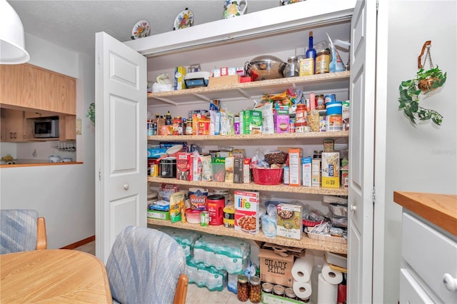 view of pantry