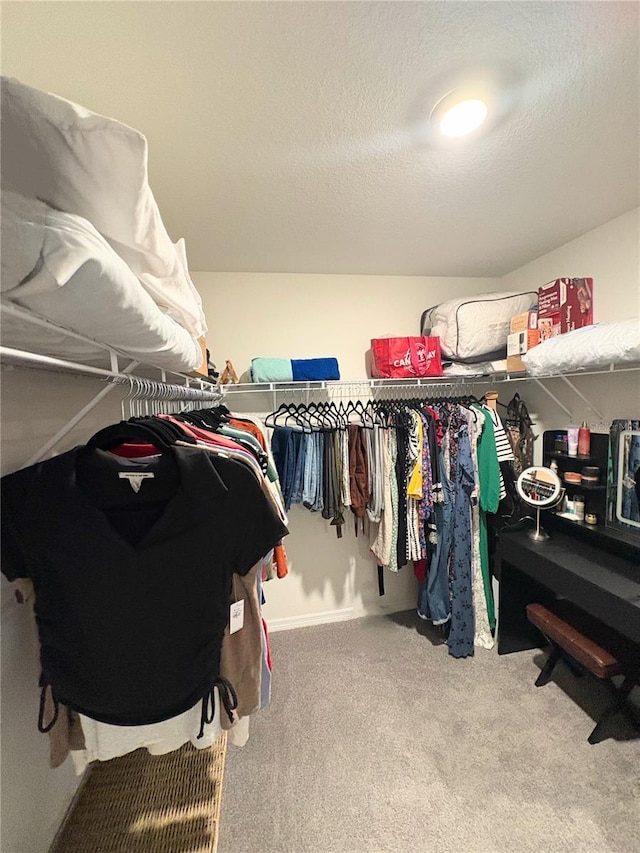 spacious closet featuring carpet