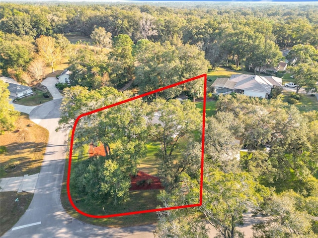9050 SW 190th Cir, Dunnellon, FL 34432 - photo 4