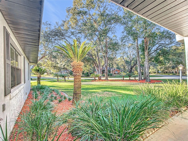 9050 SW 190th Cir, Dunnellon, FL 34432 - photo 12