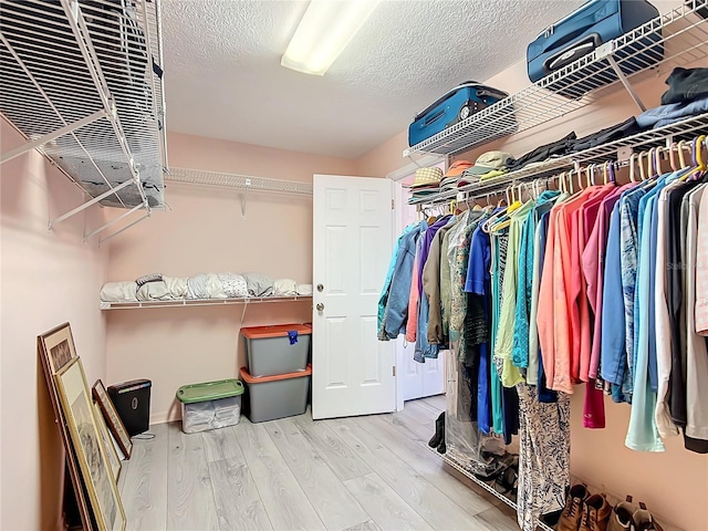 spacious closet with wood-type flooring