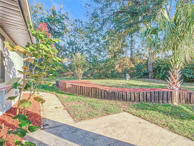 view of yard with a patio