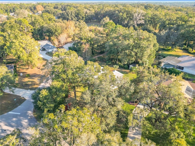 9050 SW 190th Cir, Dunnellon, FL 34432 - photo 58