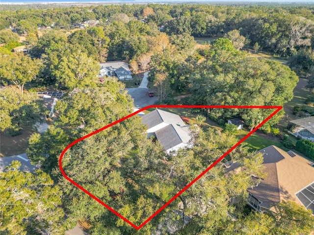 9050 SW 190th Cir, Dunnellon, FL 34432 - photo 60