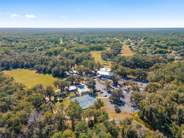 9050 SW 190th Cir, Dunnellon, FL 34432 - photo 64