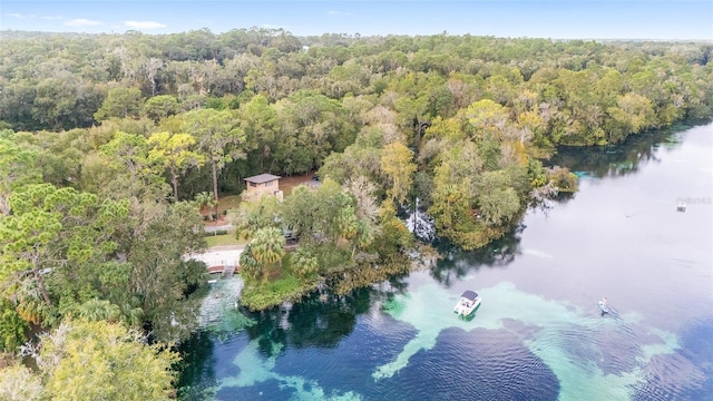 9050 SW 190th Cir, Dunnellon, FL 34432 - photo 70
