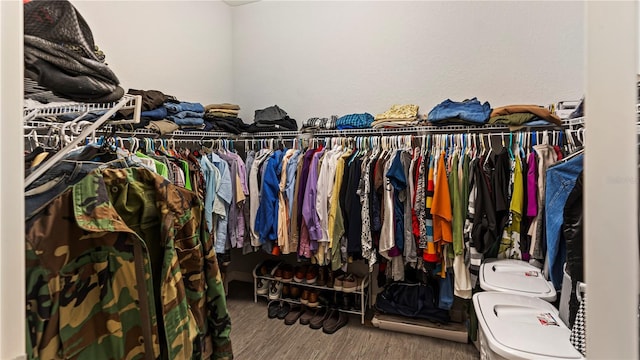 spacious closet featuring hardwood / wood-style floors