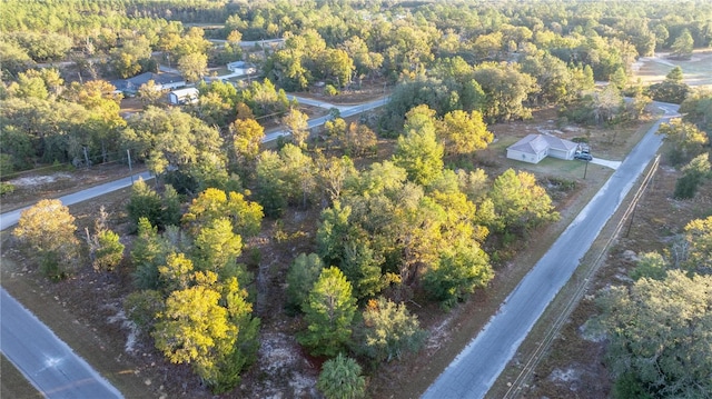 Listing photo 3 for 000 Malauka Loop Trak, Ocklawaha FL 32179