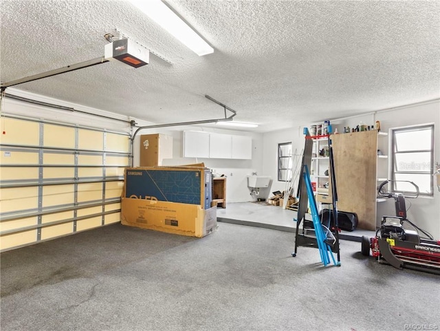 garage featuring a garage door opener and sink