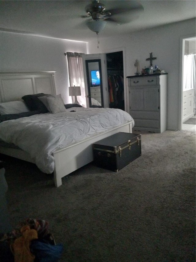 carpeted bedroom with a closet, a spacious closet, ensuite bath, and ceiling fan