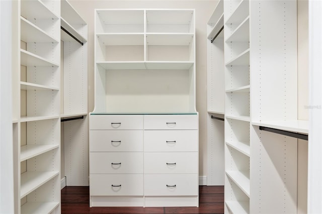 spacious closet with dark hardwood / wood-style flooring