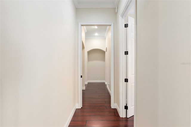 hallway with ornamental molding and dark hardwood / wood-style flooring