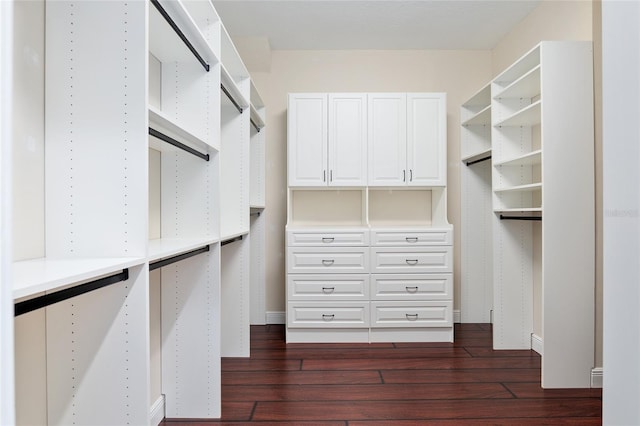 spacious closet with dark wood-type flooring