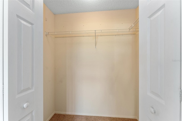 spacious closet with carpet floors