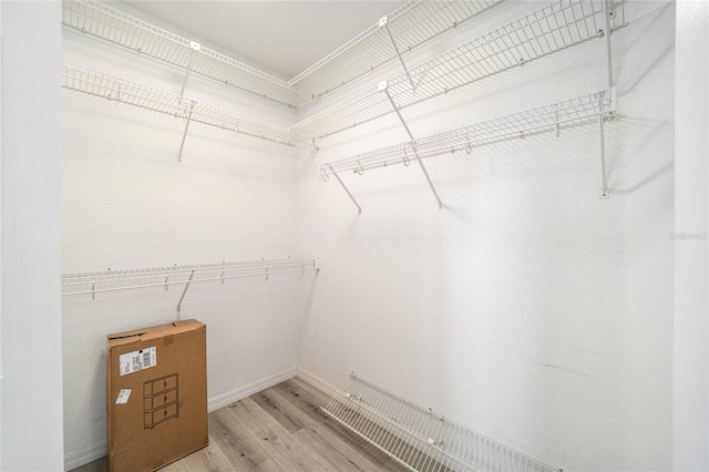 walk in closet featuring light hardwood / wood-style floors