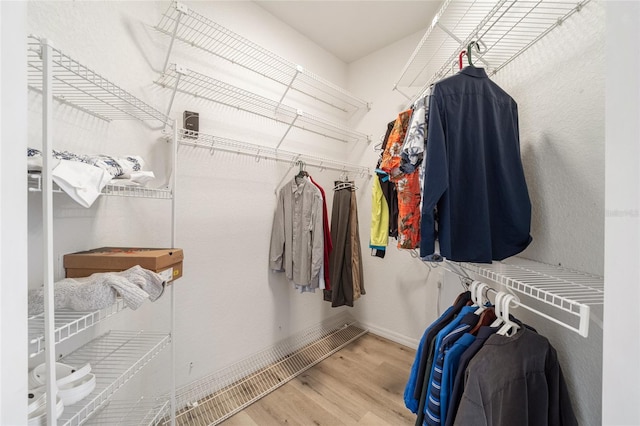 walk in closet with wood-type flooring