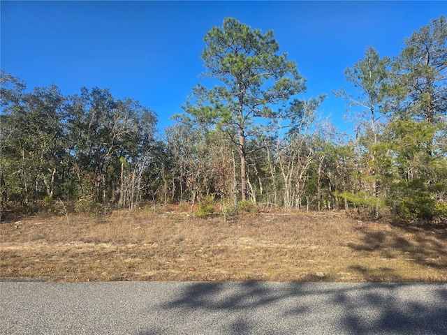 3489 W Eunice Dr, Dunnellon FL, 34433 land for sale