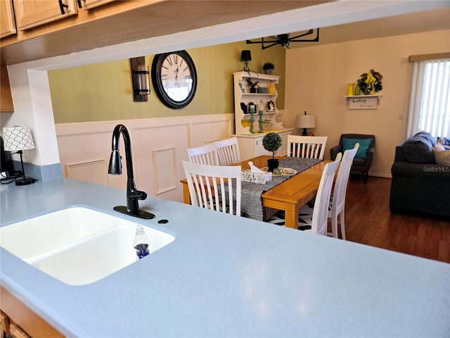 interior space with dark hardwood / wood-style flooring, ceiling fan, and sink