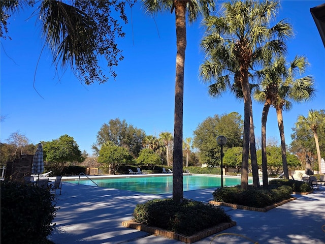 view of swimming pool