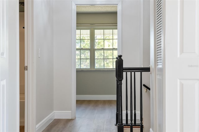 stairway featuring wood-type flooring